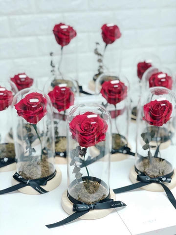 美女與野獸之玫瑰 保鮮花永生花 玻璃罩 花瓶 擺設  Beauty and the Beast Preserved Rose Flower