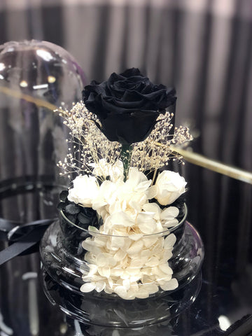黑玫瑰花保鮮花永生花禮  玻璃罩 花瓶 擺設 Black Rose Preserved Flowers