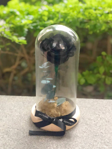 黑色美女與野獸之玫瑰花永生花保鮮花 Black Preserved Rose