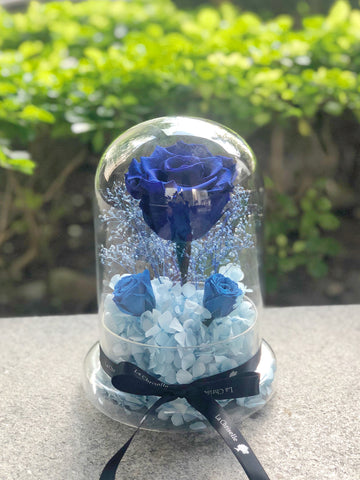 藍色大玫瑰花園保鮮花禮 Navy Blue Preserved Flowers