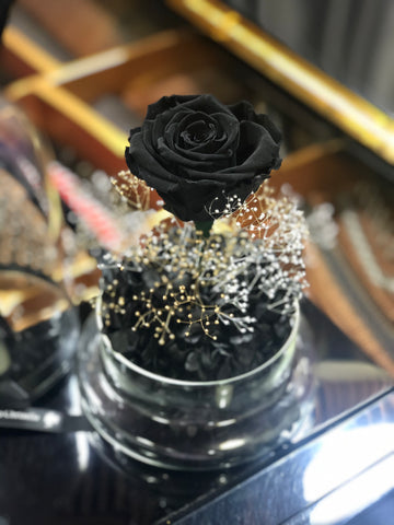 閃耀黑玫瑰花保鮮花禮  永生花 Mid Night Black Rose Preserved Flowers