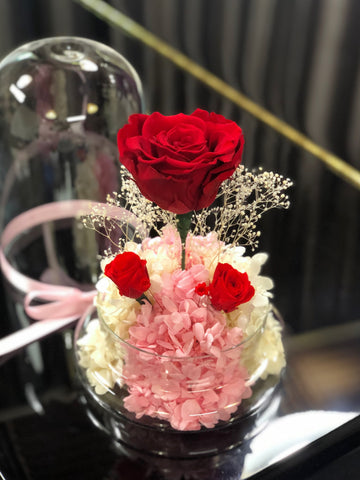 熱情玫瑰花園保鮮花禮 永生花 玻璃罩 花瓶 擺設  La Romance in Passion Red  Preserved Flowers