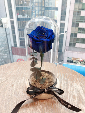 藍版美女與野獸之玫瑰 保鮮花永生花
