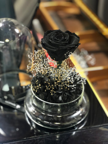 閃耀黑玫瑰花保鮮花禮  永生花 玻璃罩 花瓶 擺設  Mid Night Black Rose Preserved Flowers
