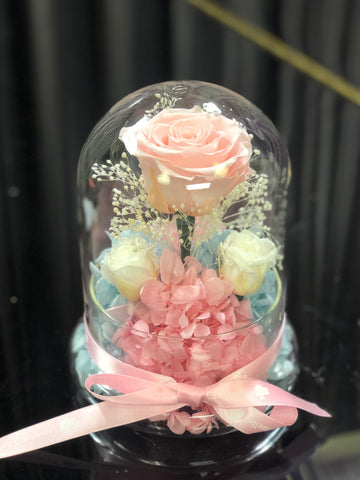 15cm  粉紅粉藍保鮮花禮 Petite 15cm La Romance Preserved Flower Gifts
