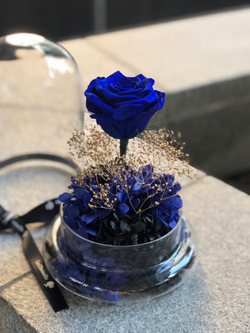 星際夜空藍色大玫瑰保鮮花永生花禮