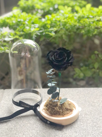黑色美女與野獸之玫瑰花永生花保鮮花 Black Preserved Rose