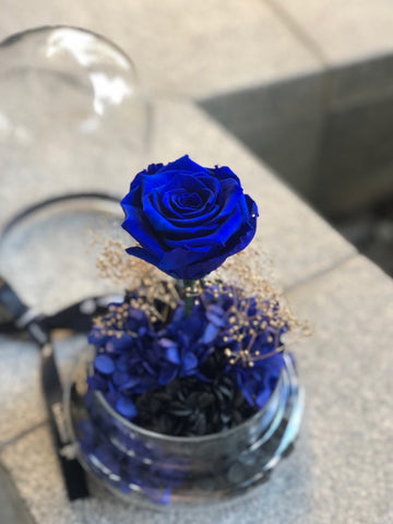 星際夜空藍色大玫瑰保鮮花永生花禮