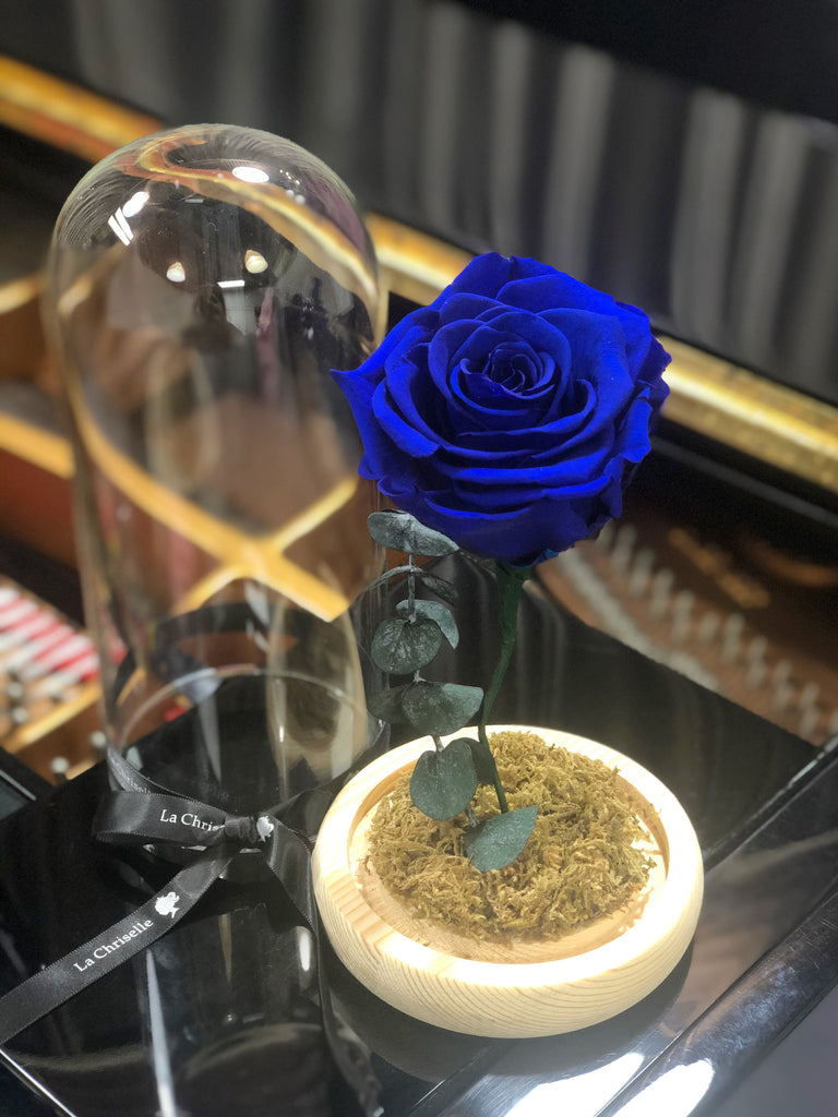 藍版美女與野獸之玫瑰 玻璃罩 花瓶 擺設 Beauty and the Beast Preserved Navy Rose Flower