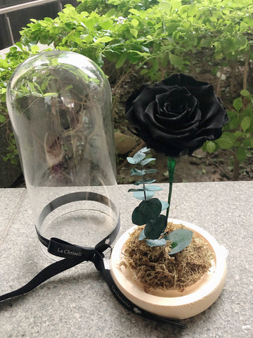 神秘黑色版美女與野獸之保鮮花玫瑰 Black Beauty and the Beast Preserved Navy Rose Flower