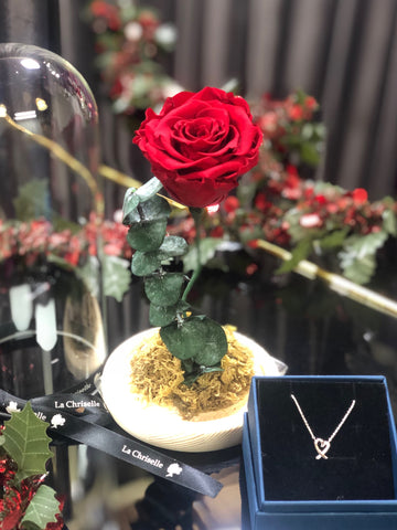 （套裝）美女與野獸之保鮮玫瑰 永生花  + 頸鏈 Red Beauty and the Beast Preserved Rose Flower + My Sweet Heart Necklace