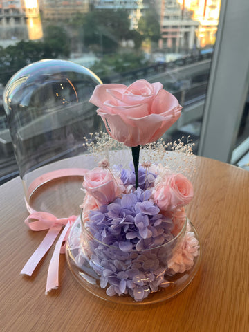 （情人節預訂）浪漫情人 粉紅色 玫瑰花園保鮮花禮 永生花 玻璃罩 花瓶 擺設  Best Seller La Romance in pink  Preserved Flowers