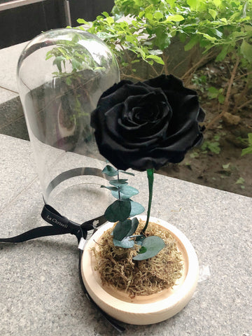 （情人節預訂) 黑色 美女與野獸之保鮮玫瑰 永生花  Black Beauty and the Beast Preserved Rose Flower