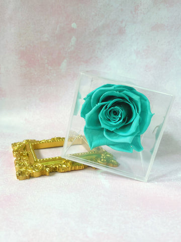 快樂迷你盒子保鮮花 永生花 Mini Cube Preserved Flower
