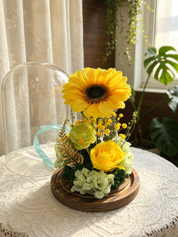陽光之旅 太陽花 保鮮花禮  永生花 玻璃罩 花瓶 擺設  The Sun Travel Preserved Flowers