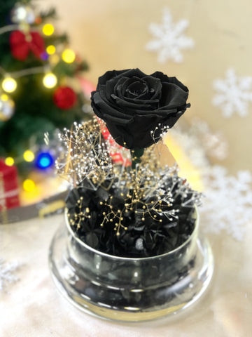 閃耀黑玫瑰花保鮮花禮  Mid Night Black Rose Preserved Flowers