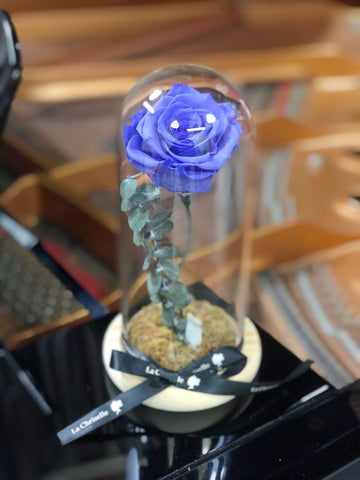 （情人節預訂)紫色 美女與野獸之保鮮玫瑰 永生花  Blue Beauty and the Beast Preserved Rose Flower