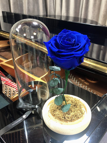 （情人節預訂) 藍色 美女與野獸之保鮮玫瑰 永生花  Blue Beauty and the Beast Preserved Rose Flower