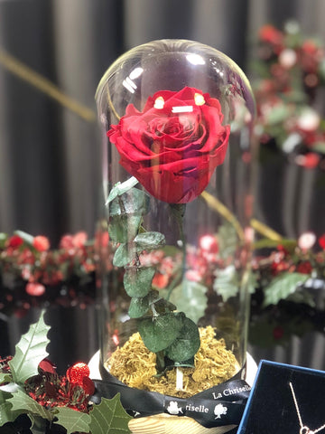 (情人節預訂) 美女與野獸之保鮮玫瑰 永生花   Red Beauty and the Beast Preserved Rose Flower