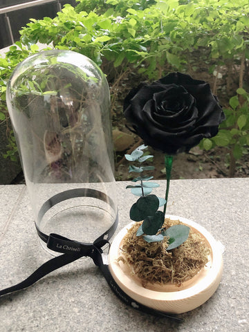 （情人節預訂) 黑色 美女與野獸之保鮮玫瑰 永生花  Black Beauty and the Beast Preserved Rose Flower