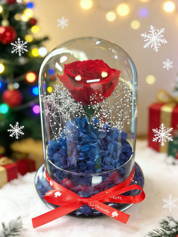 (有現貨）星空中的玫瑰保鮮花禮 永生花  玻璃罩 花瓶 Starry Night Preserved Flower Vase