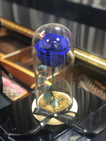 （情人節預訂) 藍色 美女與野獸之保鮮玫瑰 永生花  Blue Beauty and the Beast Preserved Rose Flower