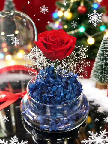 (有現貨）星空中的玫瑰保鮮花禮 永生花  玻璃罩 花瓶 Starry Night Preserved Flower Vase