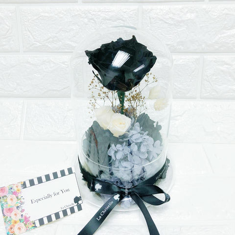Classic Black Rose Preserved Flowers
