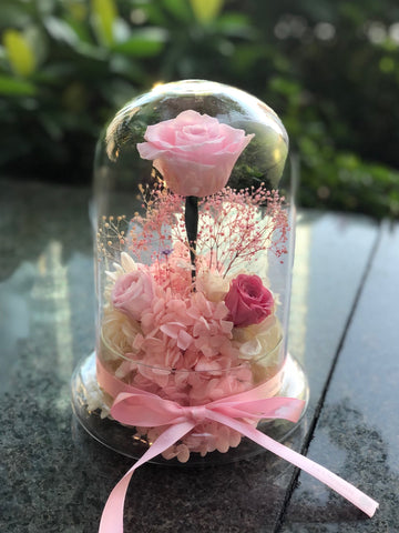 粉紅玫瑰花園保鮮花永生花禮 La Romance in Pink  Preserved Flowers