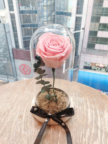 美女與野獸之粉紅玫瑰保鮮花