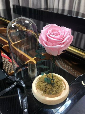 美女與野獸之粉紅玫瑰保鮮花