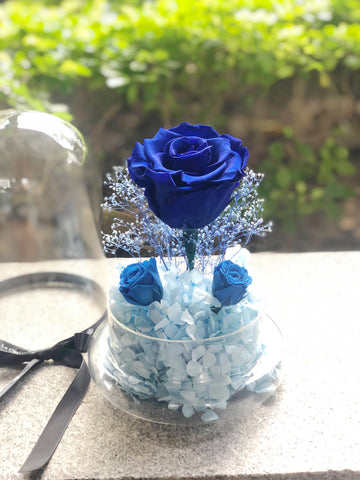 藍色大玫瑰花園保鮮花禮 Navy Blue Preserved Flowers
