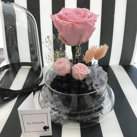 氣質黑粉紅保鮮花 永生花The Unique Preserved Flower