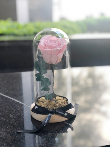 美女與野獸之粉紅玫瑰保鮮花永生花